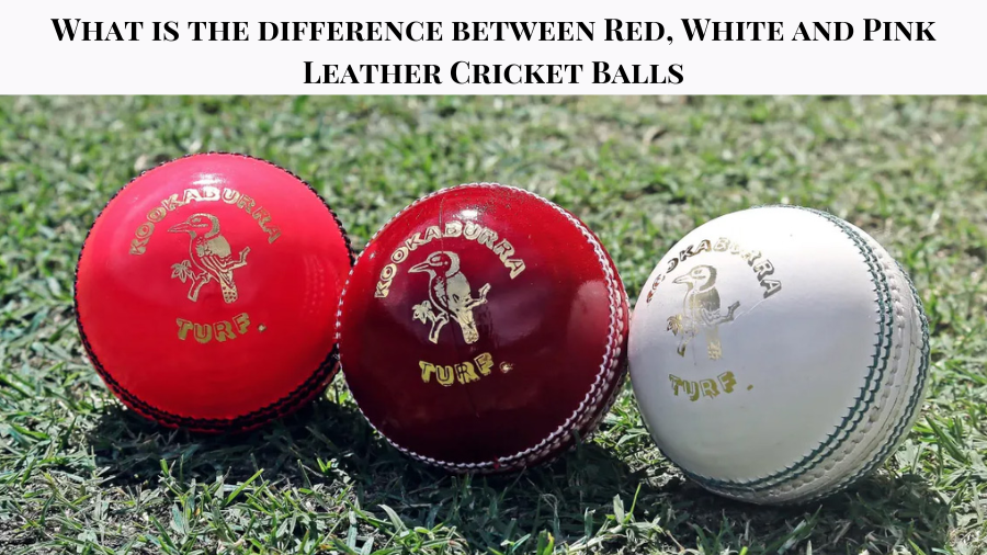 What is the difference between Red, White and Pink Leather Cricket Balls